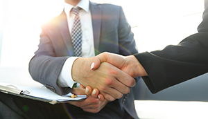 Business people shaking hands cropped